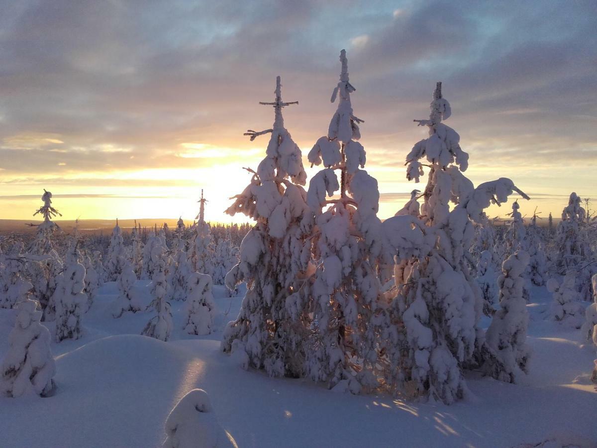 Villa Ollilan Lomamajat à Kuusamo Extérieur photo